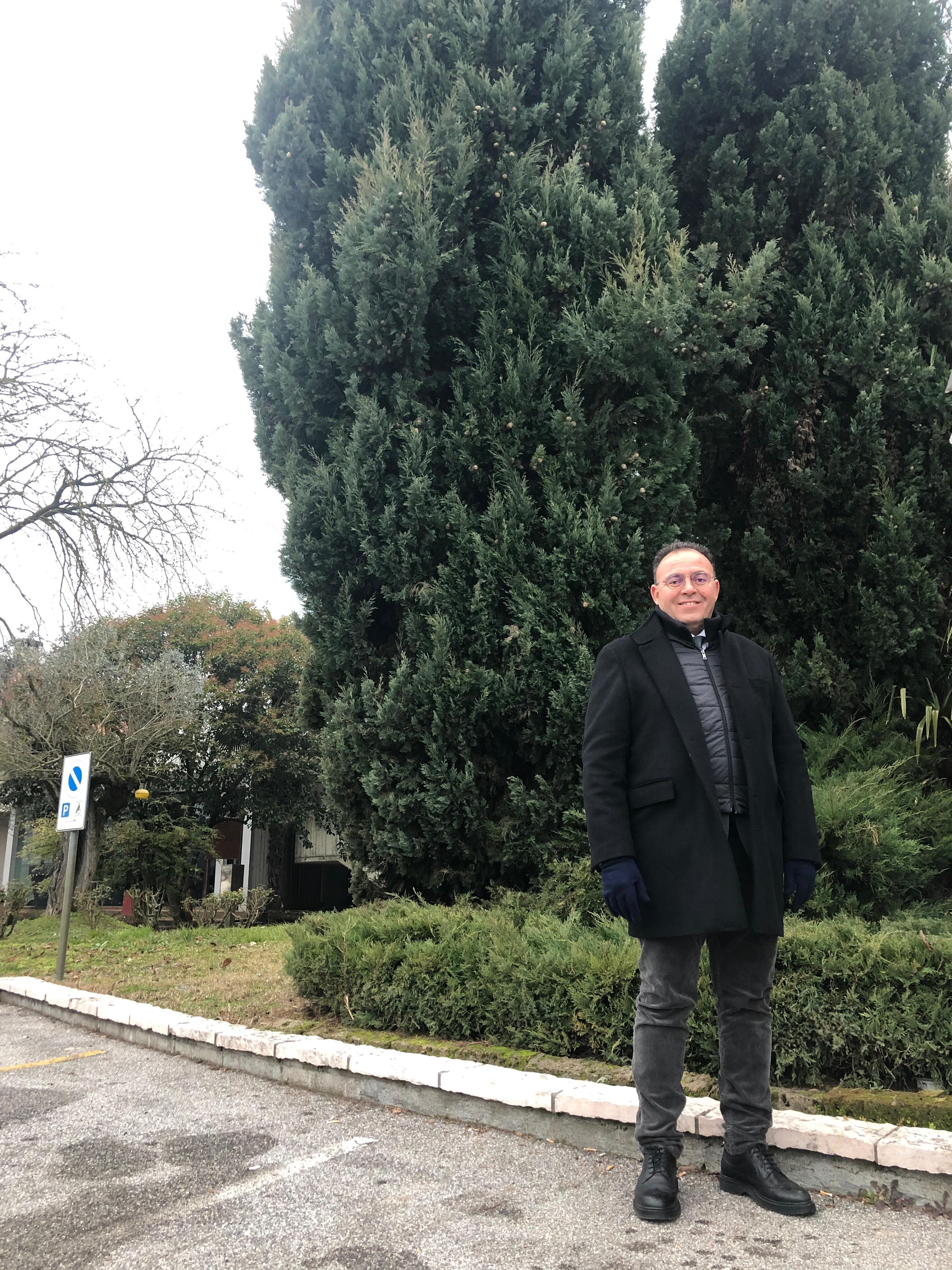 Ahmed Rashed . CO R&M